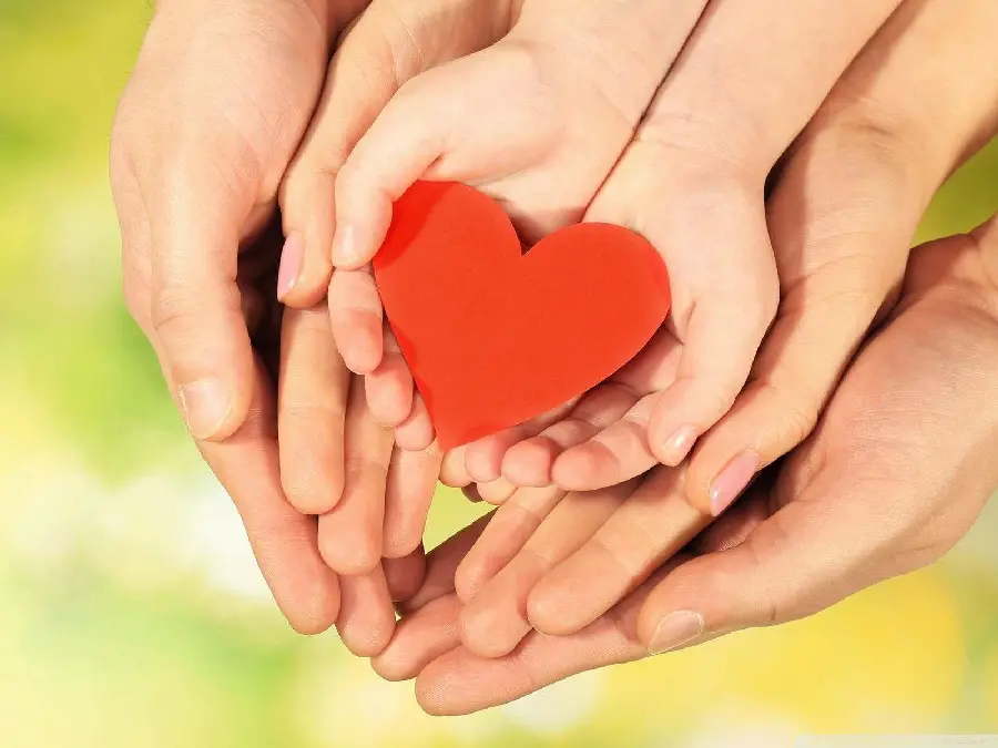Example of family photo pose of family hands together with red heart for profile