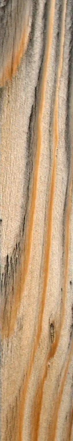 Wood plank