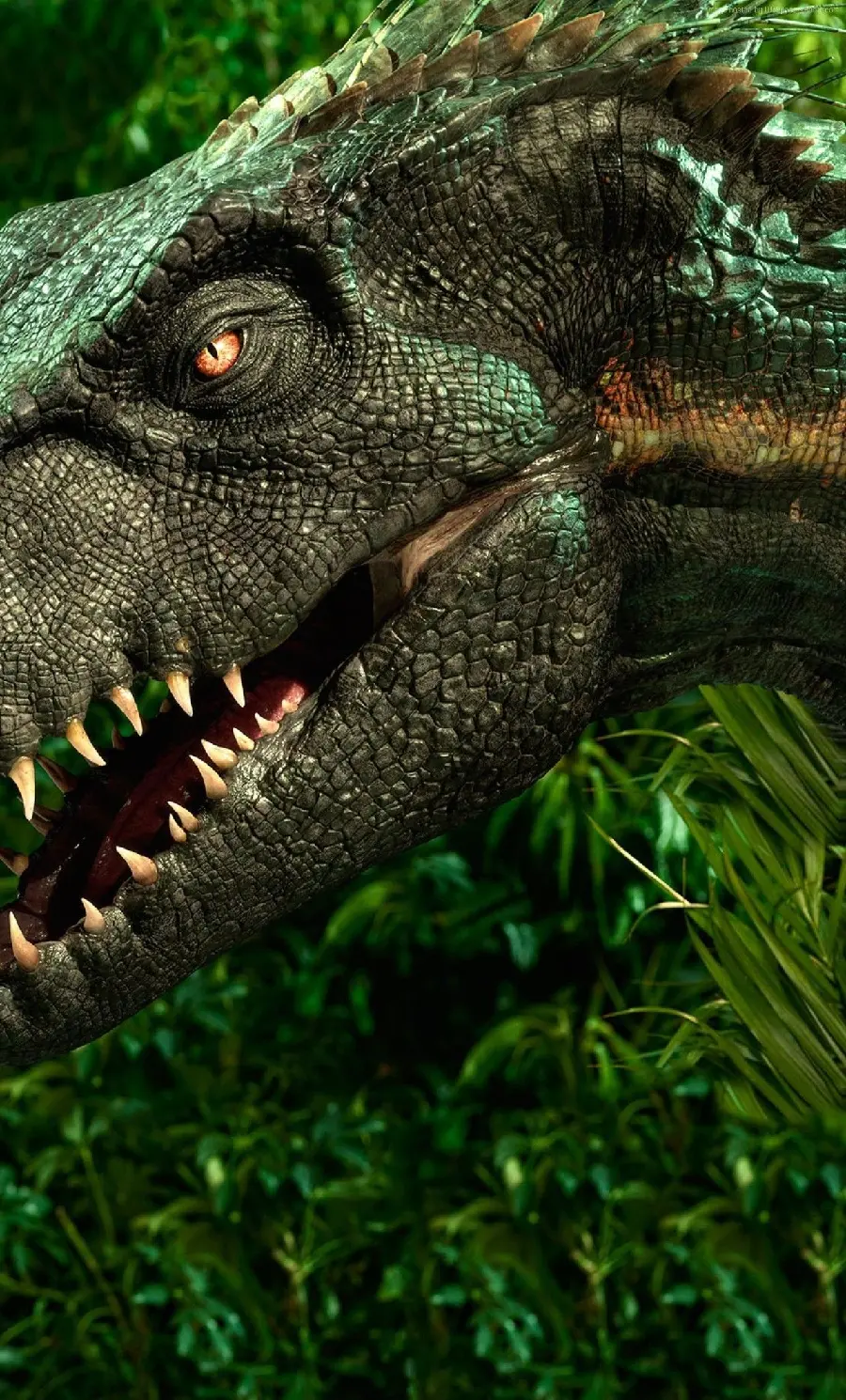 Download profile picture with dinosaur quality
