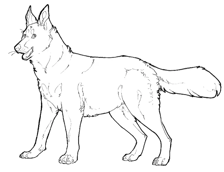 Cartoon wolf drawing wallpaper in png format for graphic work