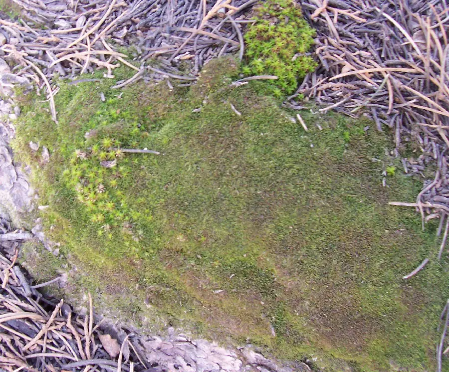 Land Materials and Natural Features