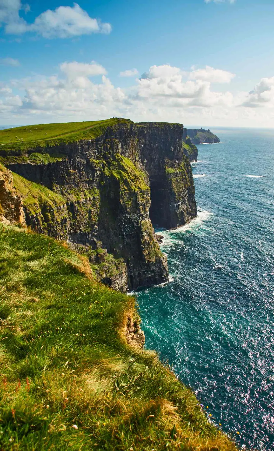 Beautiful wallpaper of nature and a spectacular sea for your phone