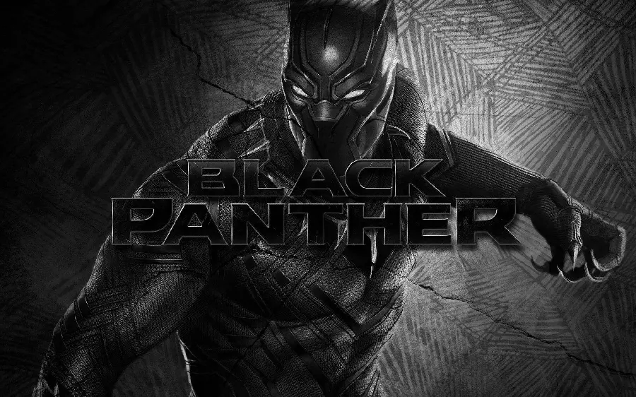 Marvel Black Panther Photo for Printing