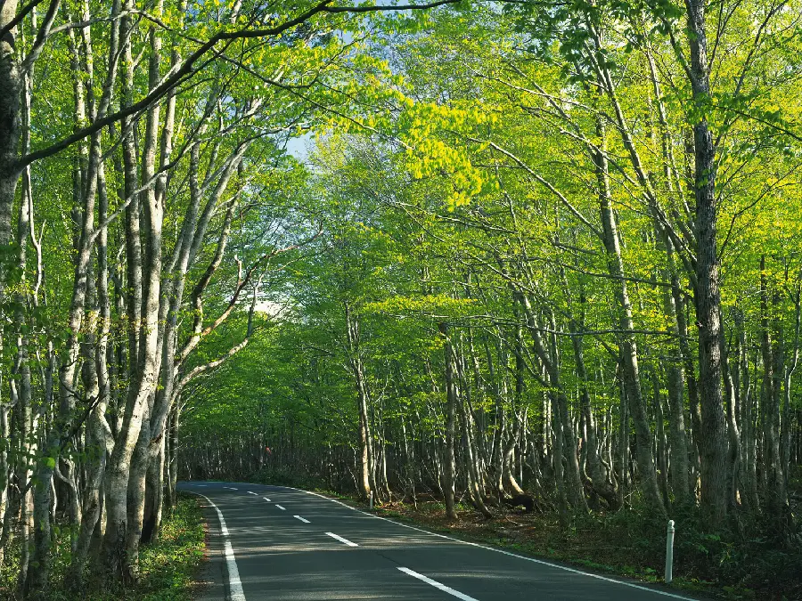Road background and road background photo