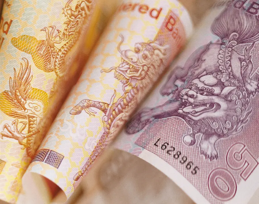 Photo of the strangest and most bizarre banknotes in the world