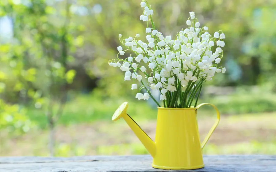 Spring coffee