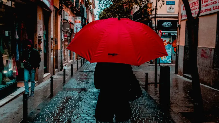 Girl umbrella