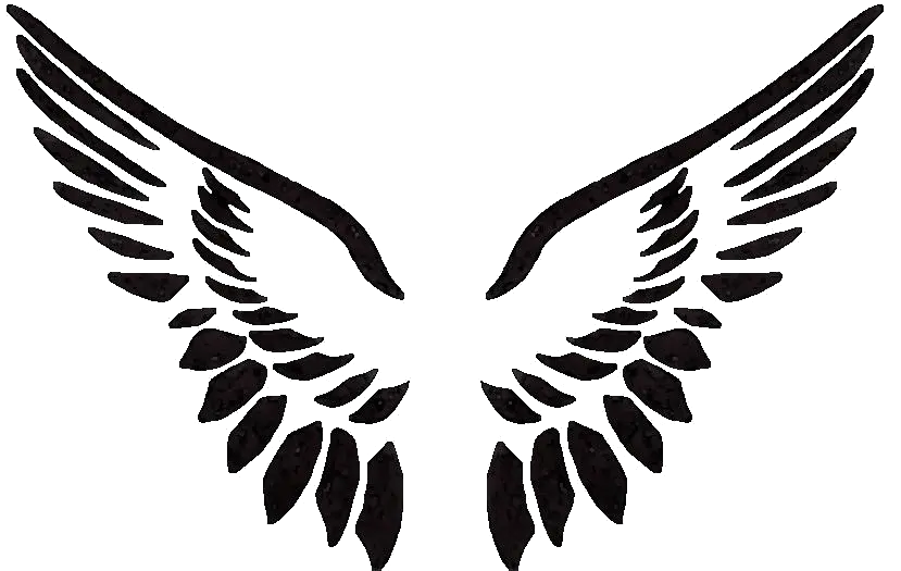 Angel Wings Image for Tattoo PNG