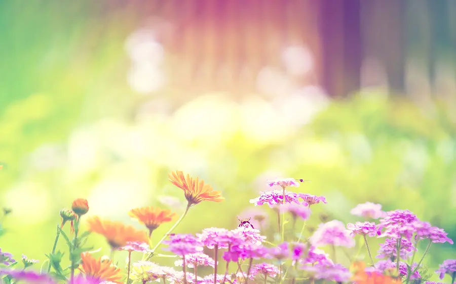 Spring pastel