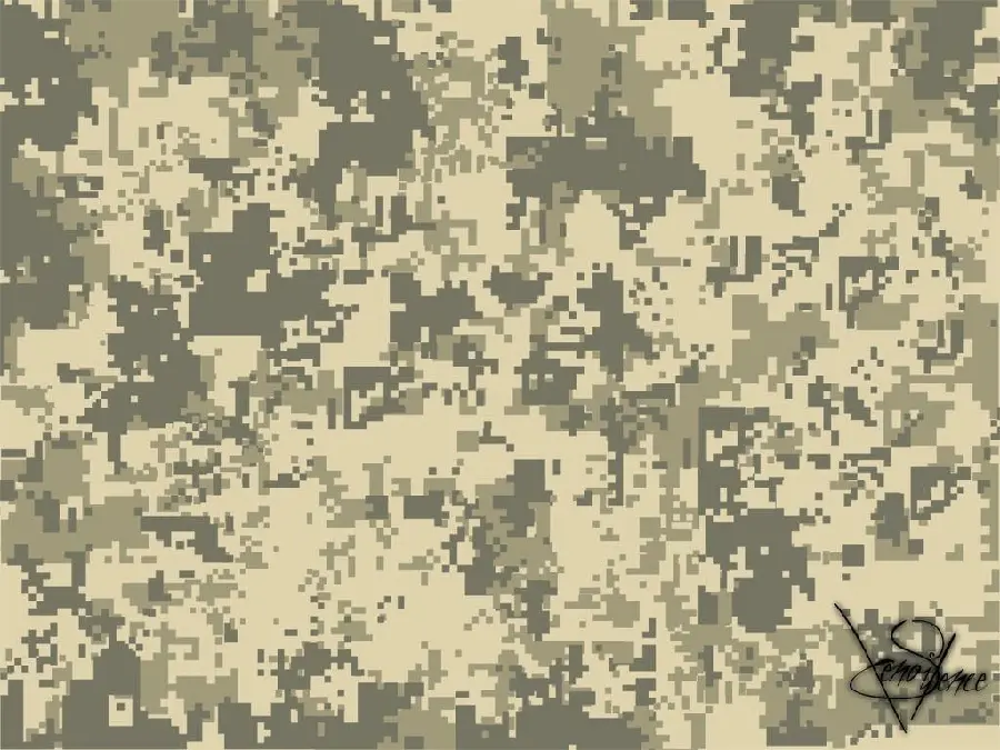 Military Desert Camouflage Texture and Photo