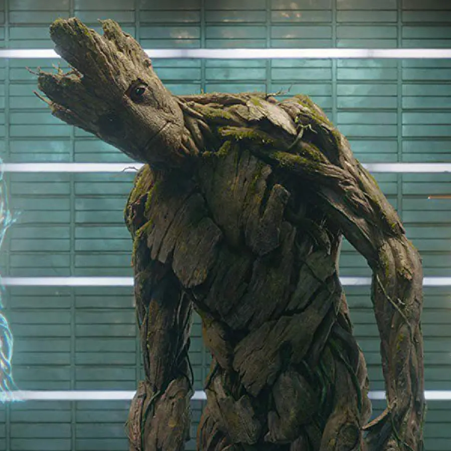 Stock Photo Groot