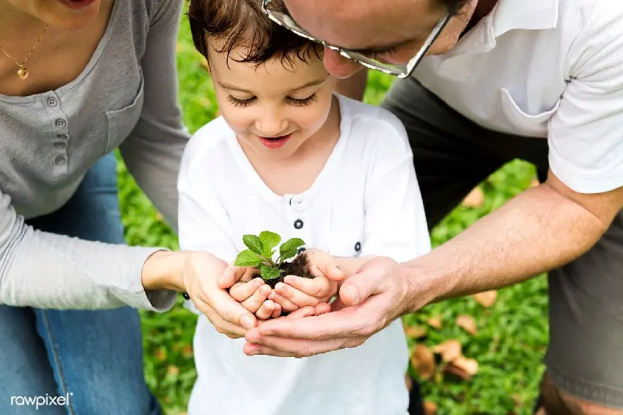 Photo of tree planting on Arbor Day for children