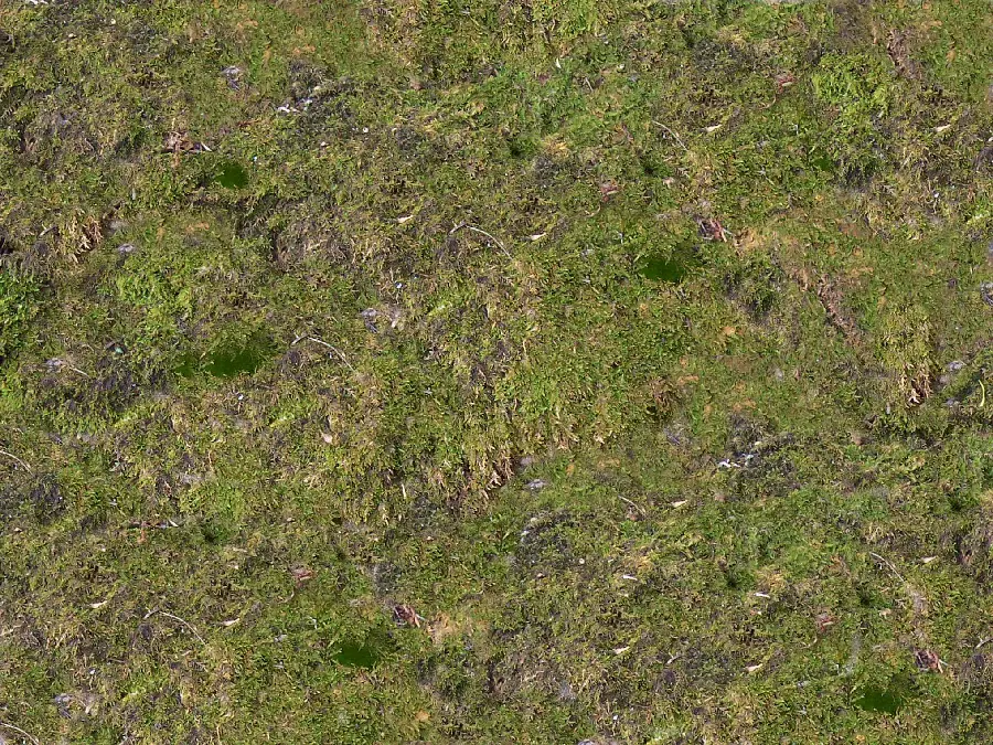 Photo of natural texture and earth material and features
