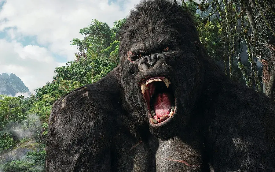 Angry Gorilla with Open Mouth Roaring