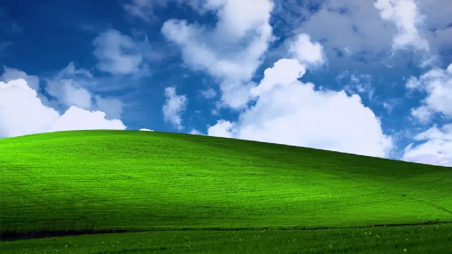 Windows XP