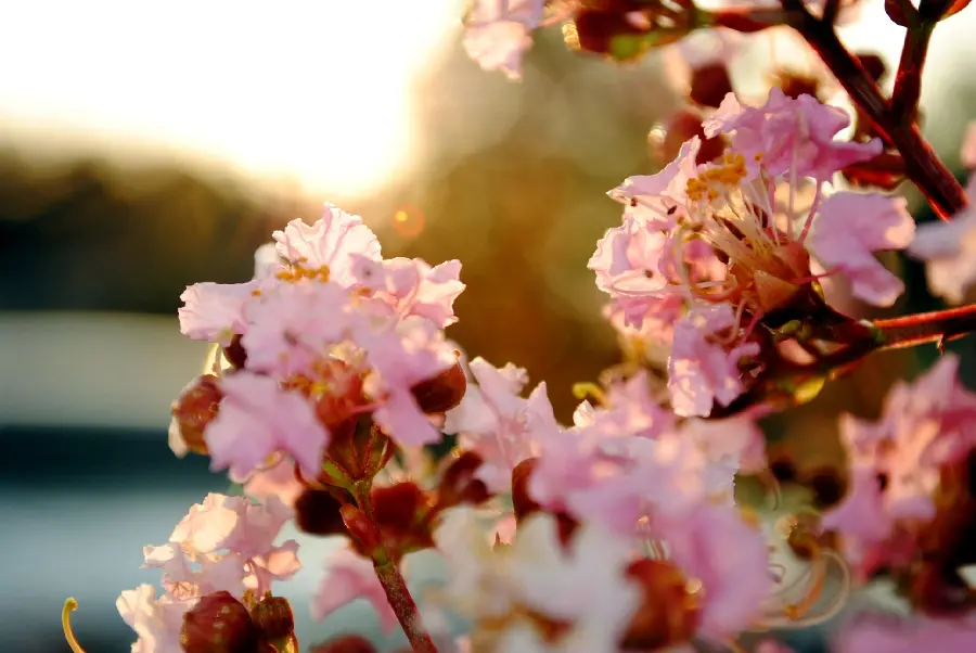 Spring pastel