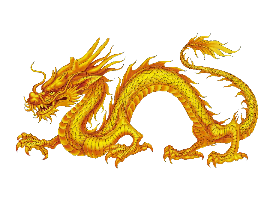 Download teleported and cartoon dragon photo