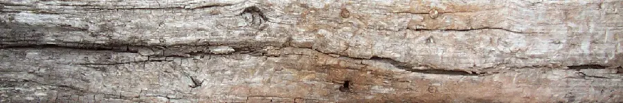 Wood Timber