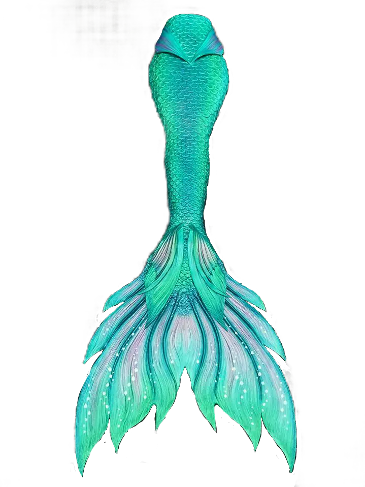 Download mermaid tail evening dress photo