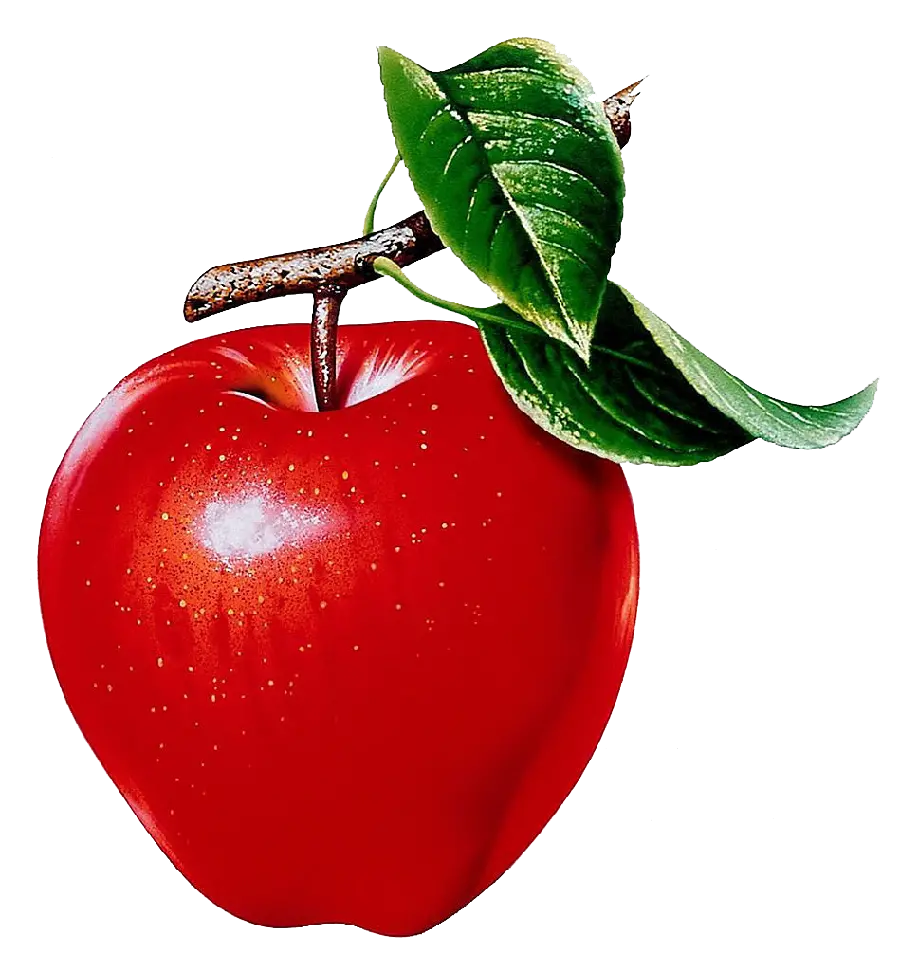 High quality photo of red apple and green leaves without background