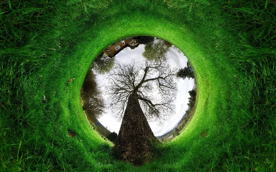 Photo with quality design or poster for Arbor Day