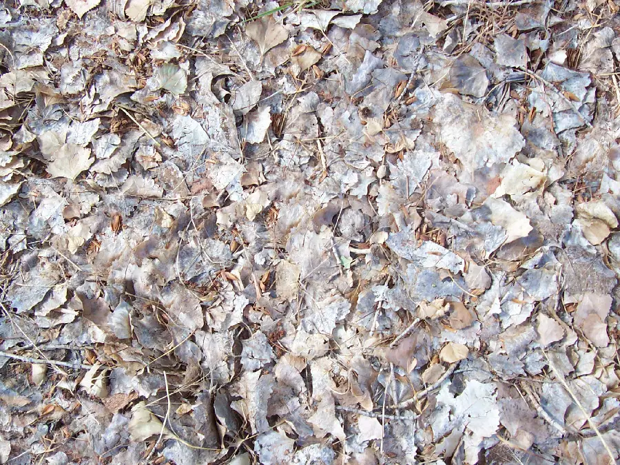 Earth material and natural features
