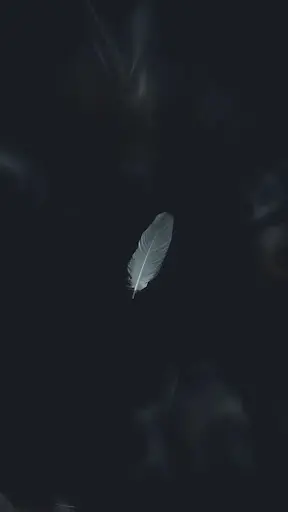 Dark black wallpaper
