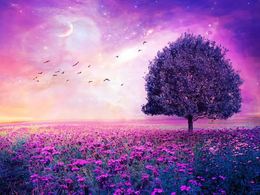 Purple Lavender Tree and Field Flowers Wallpaper