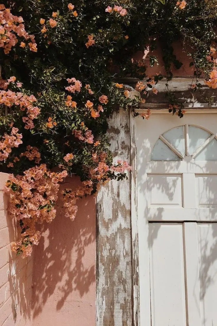 Mobile phone background from romantic Italy