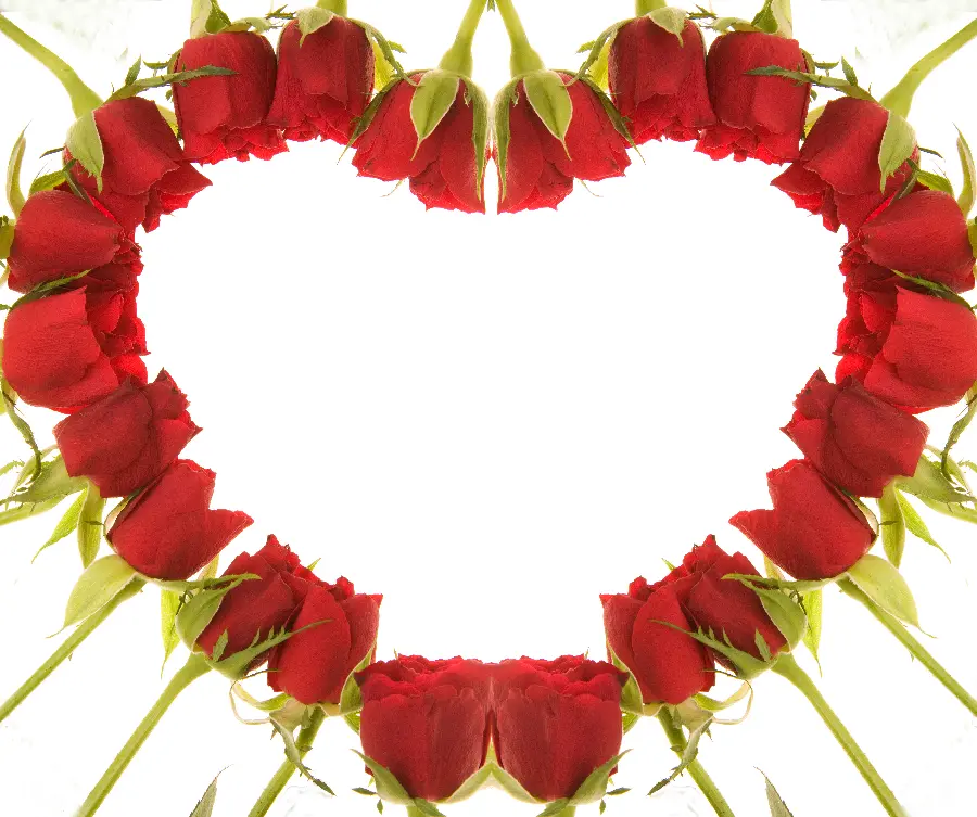 Red Rose