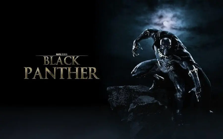 Black Panther Marvel Poster Photo