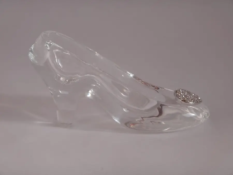 Real Photo of Cinderella's Glass Shoe