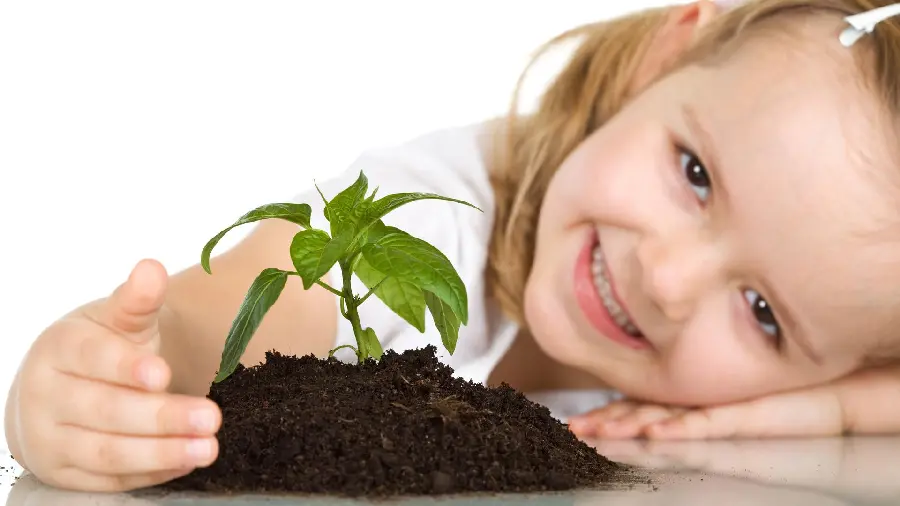 Tree Planting Photo for Kids