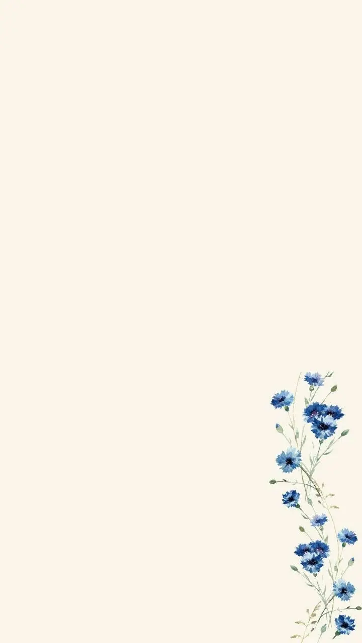 Plain White Background