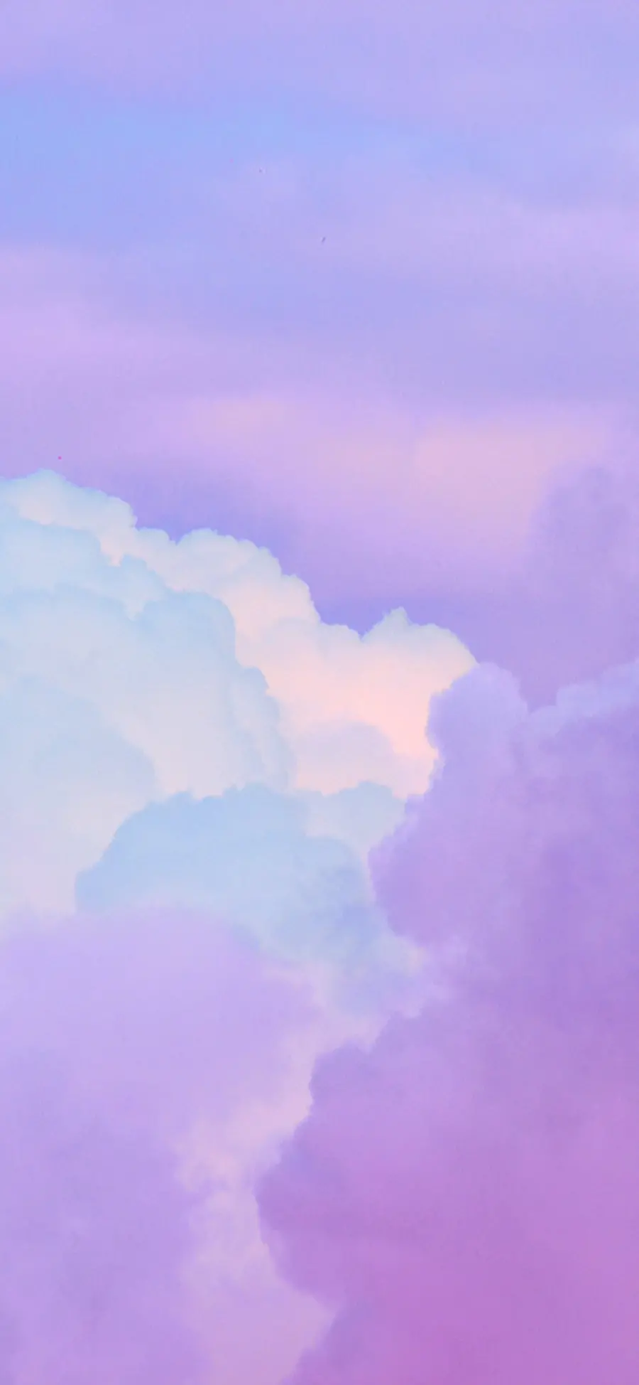 Purple Clouds of Lavender
