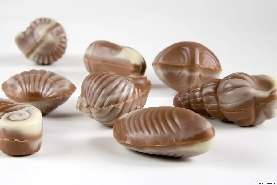 Dark, Sweet and Nutty Chocolate Photo