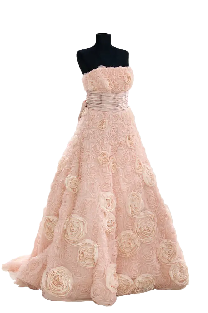 Stylish and beautiful evening dress image