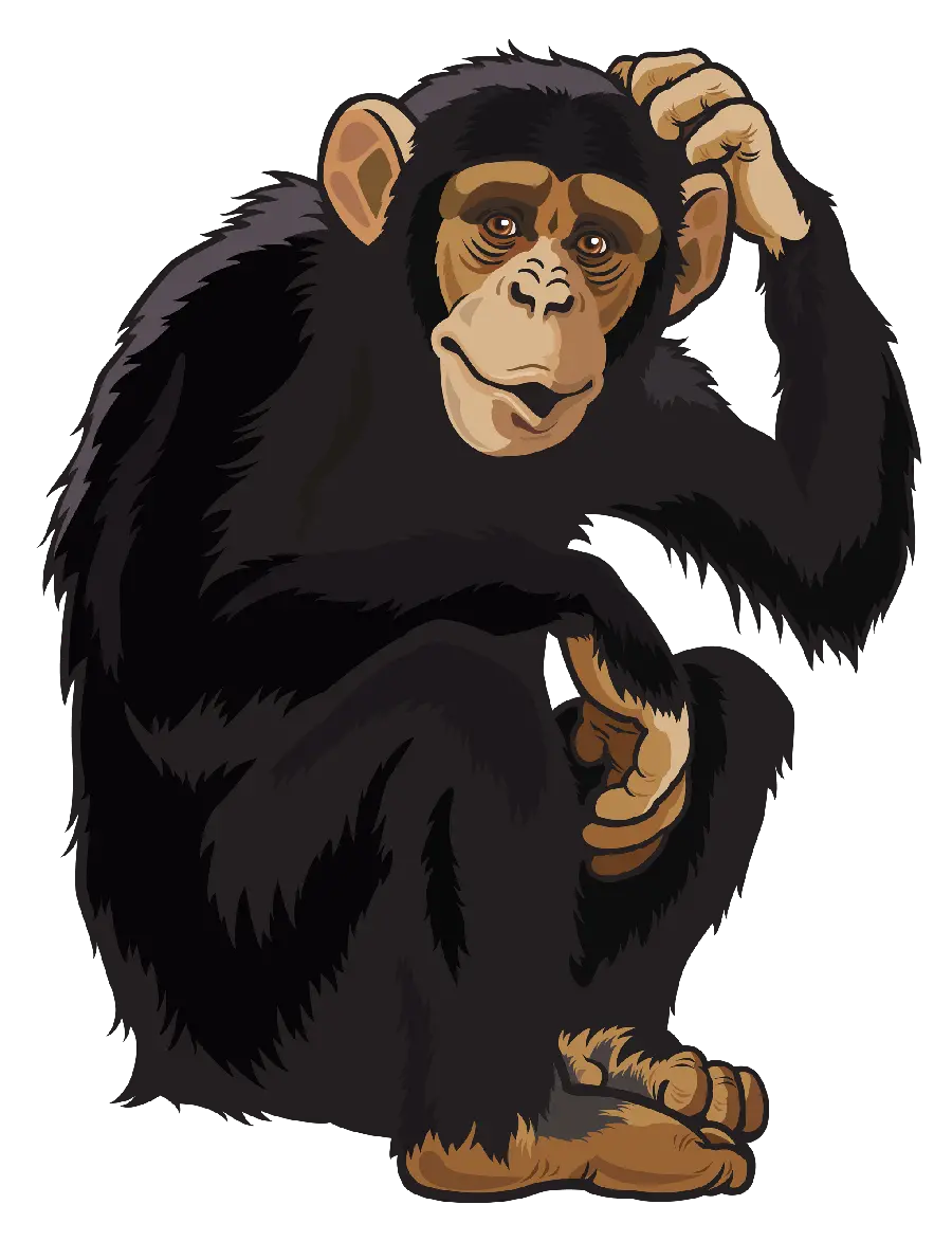 Little chimpanzee drawing image for download
