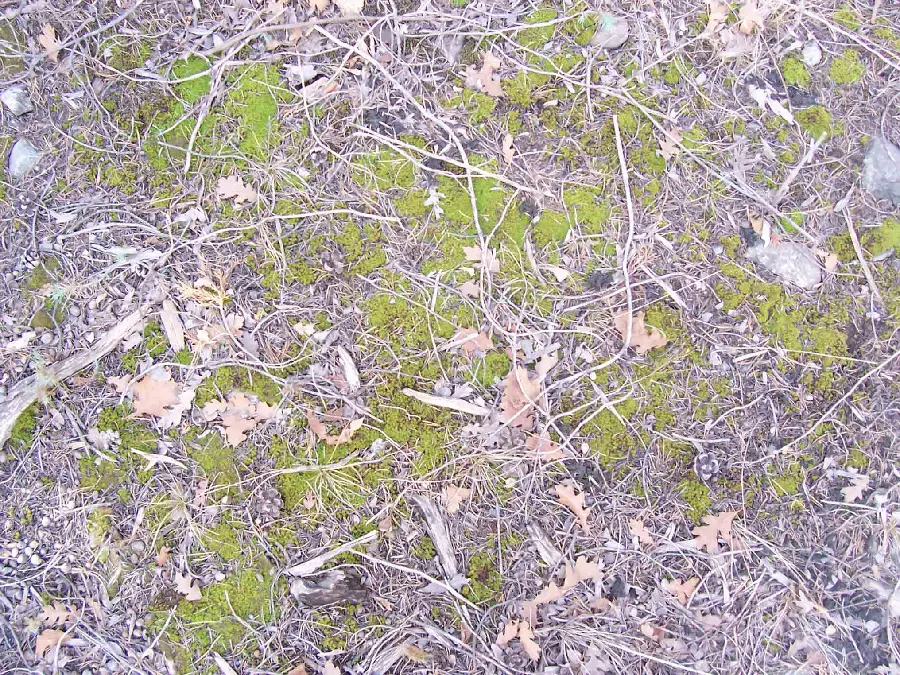 Earth material and natural features
