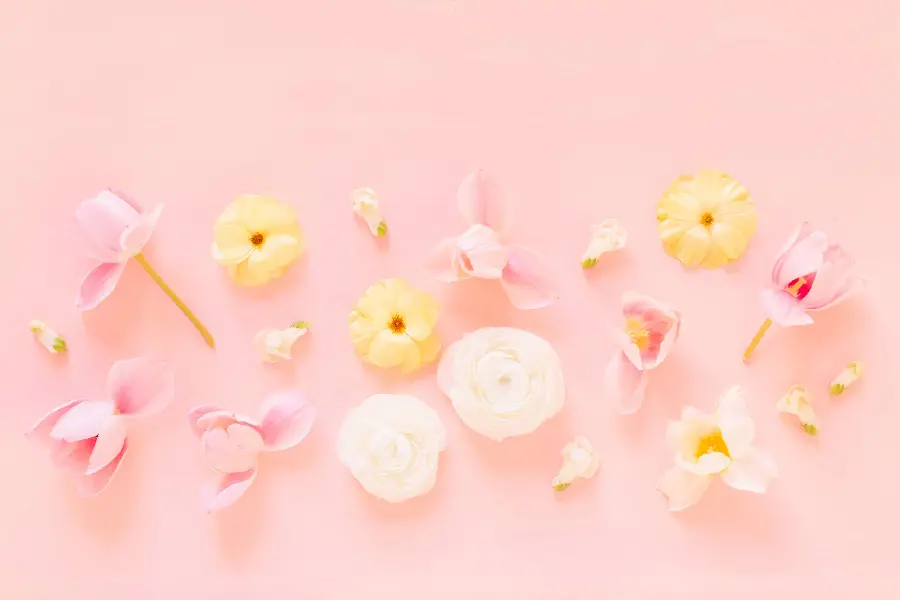 Spring Flowers Wallpaper on Pink Background