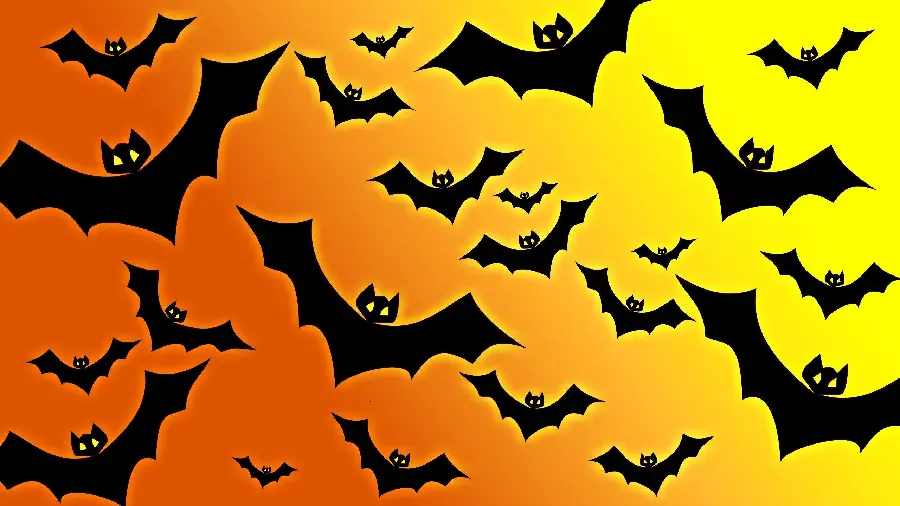 Bat Photos