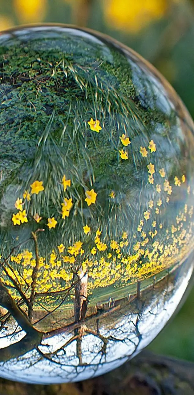 Glass marble mobile phone background