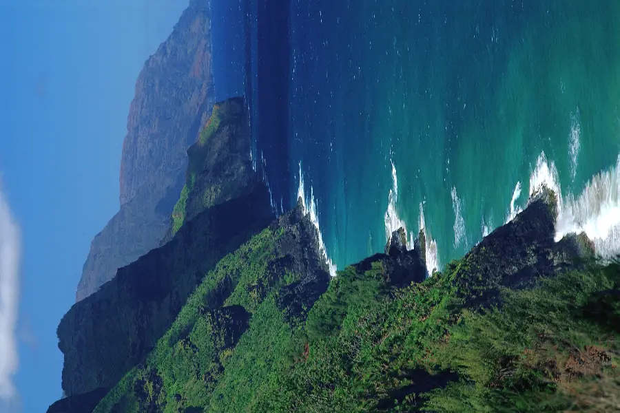 Photo of dreamy nature and natural world