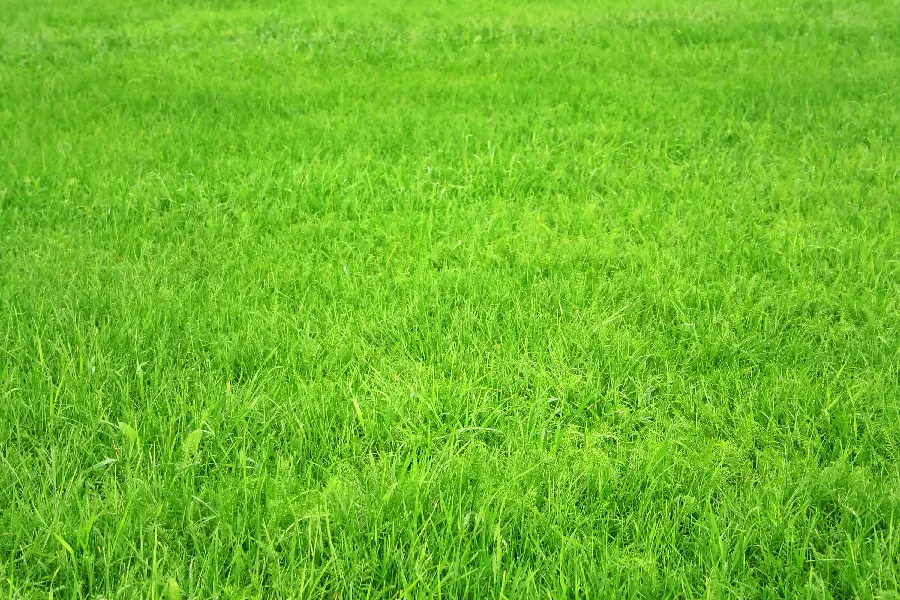 The most unique high-quality nature photo