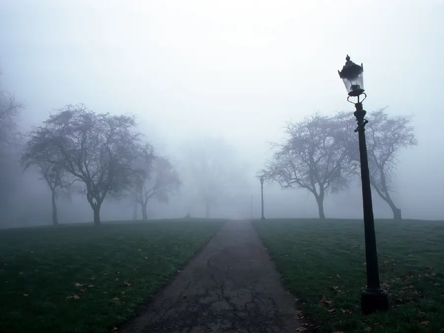 Fog Road