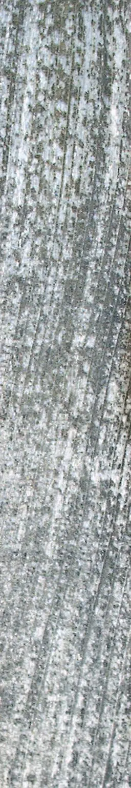 Wooden plank