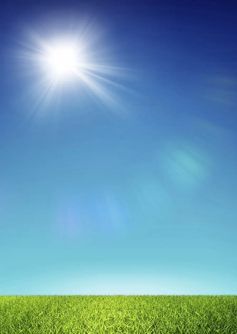Summer Nature Profile Picture