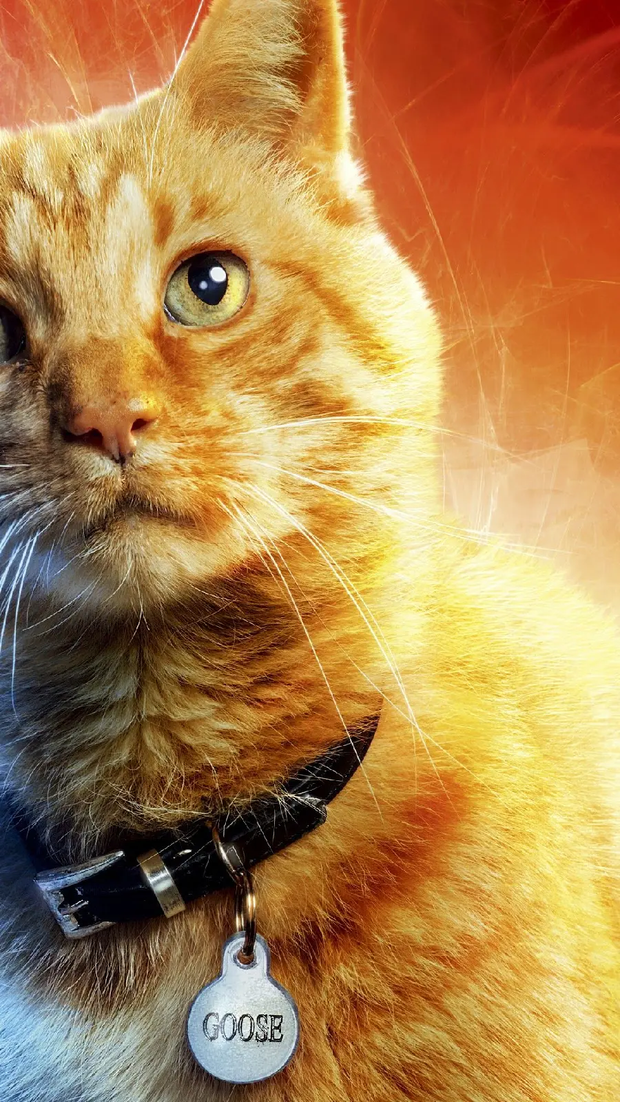 Captain Marvel Goose