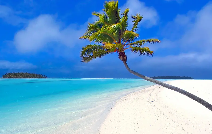 Incredibly beautiful and extraordinary photo of nature