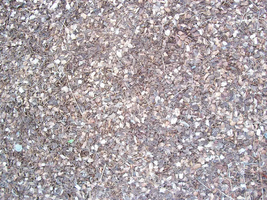 Background image and texture of earth material and natural features